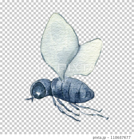 Little cute fly watercolor illustration isolated. Funny bug with wings in flight hand drawn in botanical sketch. Insect, butterfly simple style painted for design autumn holiday, nature theme. 118687677