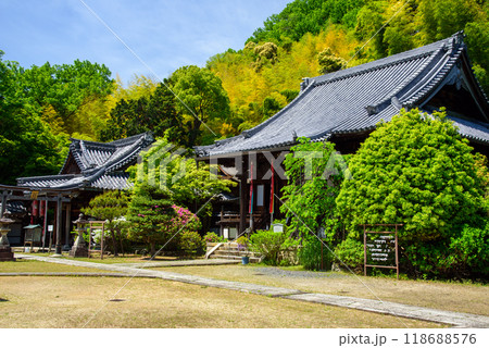 新緑に包まれた山崎聖天の本堂 118688576