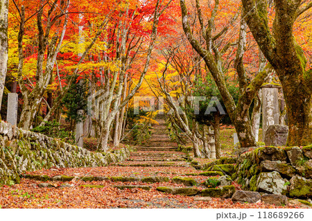 滋賀県 鶏足寺の紅葉 の写真素材 [118689266] - PIXTA