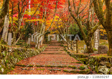 滋賀県　鶏足寺の紅葉　 118689297