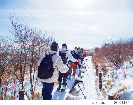 薄雪の八島湿原でスノーシューハイキング 薄雪の八島湿原でスノーシューハイキング 118689384