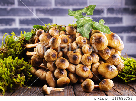 Mushrooms of honeydew are lying on a wooden table. View from above. 118689753