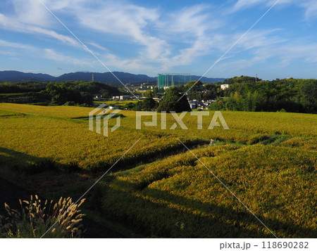収穫間近の稲穂が広がる田園風景 118690282