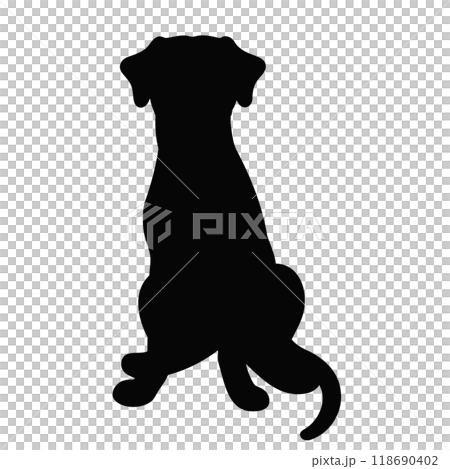 Sitting Rhodesian Ridgeback silhouette Sitting Rhodesian Ridgeback silhouette 118690402