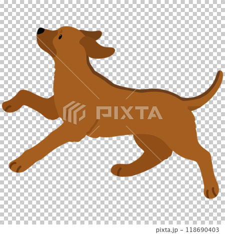 Illustration of a running Rhodesian Ridgeback (no main lines) 118690403