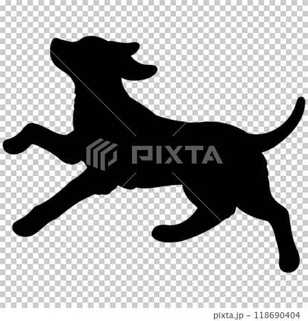 Silhouette of a running Rhodesian Ridgeback 118690404