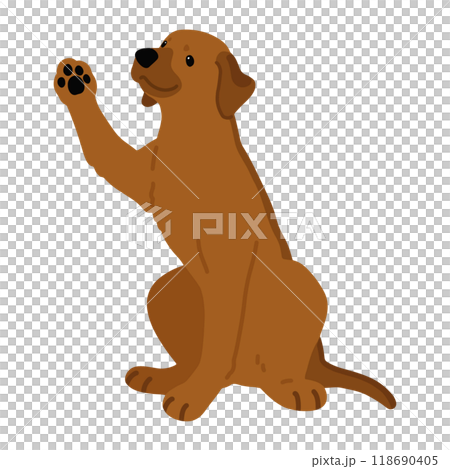 正在處理的羅德西亞脊背犬的插圖,沒有主線 正在處理的羅德西亞脊背犬的插圖,沒有主線 118690405