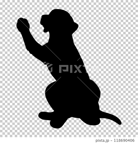 羅德西亞脊背犬手牽手的剪影 118690406