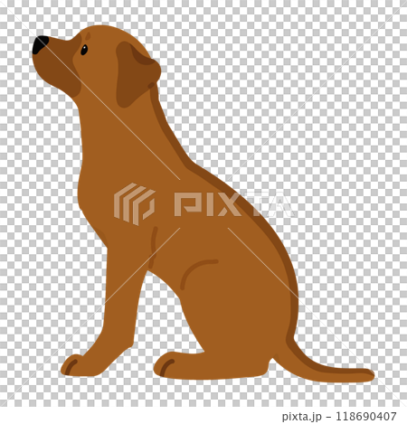 Illustration of a Rhodesian Ridgeback sitting sideways (no main lines) 118690407