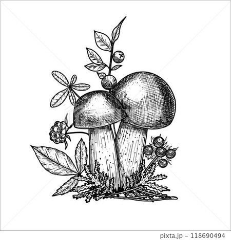Hand drawn mushrooms with  moss, leaves, berries. Vector illustration 118690494