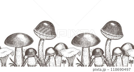 Border with edible mushrooms. Hand drawn vector illustration 118690497