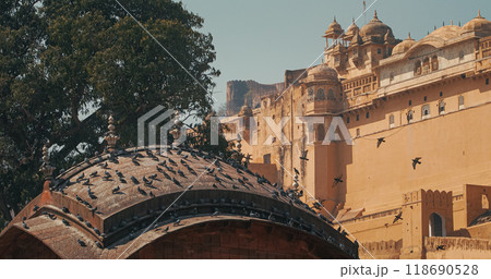 Pigeons Sitting On One Of Roofs Of Gate. Amer Fort Or Amber Fort Is Visible In Background. Amber Fort, Amer Palace Is Great Example Of Rajput Architecture. Amber Fort Principal Tourist Attraction In Pigeons Sitting On One Of Roofs Of Gate. Amer Fort Or Amber Fort Is Visible In Background. Amber Fort, Amer Palace Is Great Example Of Rajput Architecture. Amber Fort Principal Tourist Attraction In 118690528