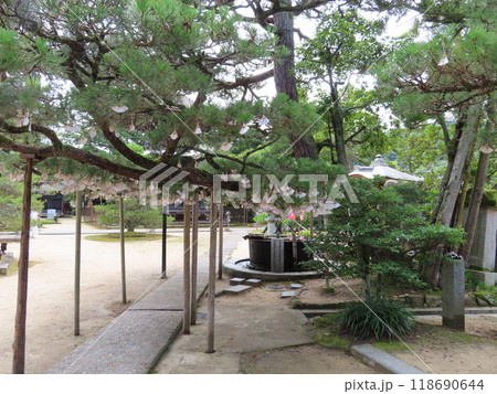 日本三景の一つ天橋立にある智恩寺、日本三文殊のひとつ、境内、扇子おみくじが吊るされている 118690644