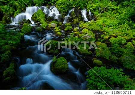 京極町ふきだし公園 　羊蹄山の伏流水 118690711
