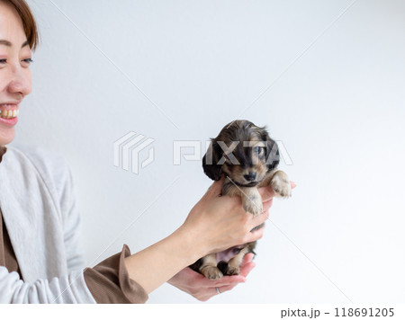 カニンヘンダックスの仔犬 118691205