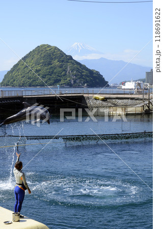 富士山とイルカ 富士山とイルカ 118691622