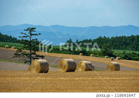 美瑛町　牧草ロール　北海道観光 夏の絶景 118691647