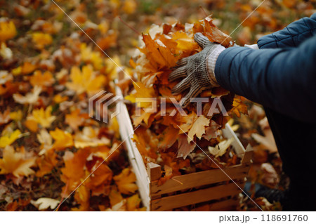 Harvesting autumn leaves. Man cleans the autumn park. Volunteering concept. Seasonal gardening. 118691760