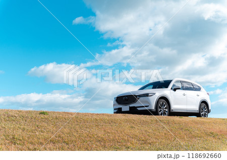 白いSUVタイプの乗用車 118692660