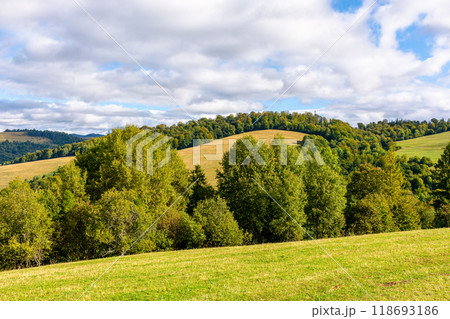 countryside scenery in mountains. autumn landscape of carpathians with meadows rolling through forested hills in morning light. sunny weather with cloudy sky 118693186