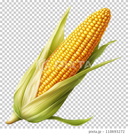 corn 118693272