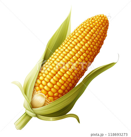 corn corn 118693273