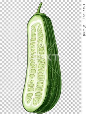 Cucumber 118693304