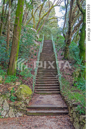 Stairway in Park 118693369