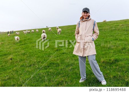 Woman walking many grazing sheep herd scene dike green field pasture meadow grassland North Wadden Sea coast East Friesland Germany warm dramatic sunset sky. Scenic german countryside landscape view 118695488