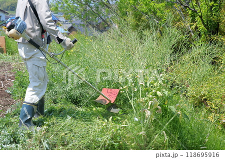 草刈り作業風景 118695916