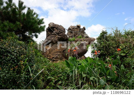 千葉県 仁右衛門島 神楽岩 千葉県 仁右衛門島 神楽岩 118696122