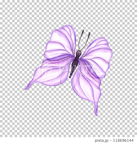 Fluttering abstract pink butterflies in flight with wings spread watercolor hand drawn illustration. Tropical insect silhouette for textile, wedding invitation, banner design 118696144