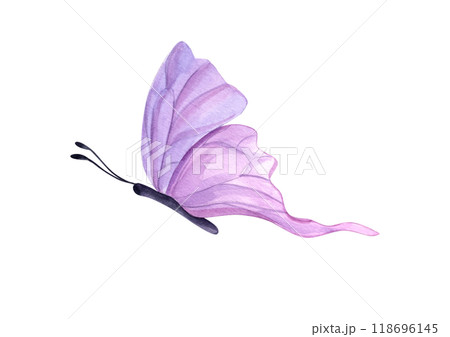 Flying abstract pink butterflies in flight with folded wings watercolor illustration. Tropical insect silhouette for textile, wedding invitation, banner design, poster, print Flying abstract pink butterflies in flight with folded wings watercolor illustration. Tropical insect silhouette for textile, wedding invitation, banner design, poster, print 118696145