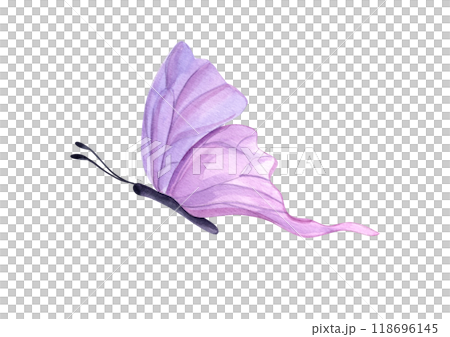 Flying abstract pink butterflies in flight with folded wings watercolor illustration. Tropical insect silhouette for textile, wedding invitation, banner design, poster, print Flying abstract pink butterflies in flight with folded wings watercolor illustration. Tropical insect silhouette for textile, wedding invitation, banner design, poster, print 118696145