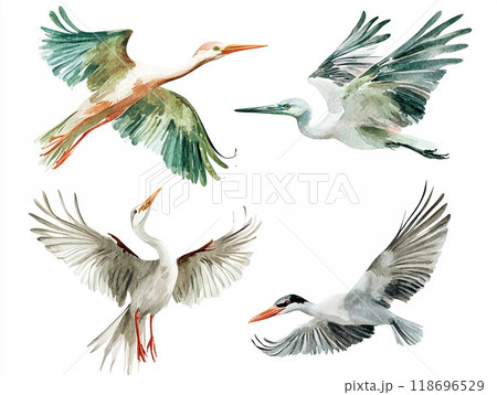 Four birds flying in the sky, cranes. The birds are in different positions and sizes, with one being larger than the others. Concept of freedom and movement Four birds flying in the sky, cranes. The birds are in different positions and sizes, with one being larger than the others. Concept of freedom and movement 118696529