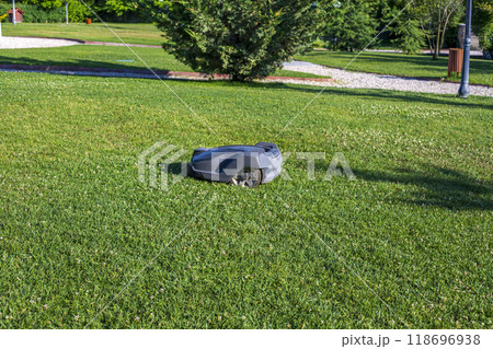 Robotic Lawn Mower cutting grass Robotic Lawn Mower cutting grass 118696938