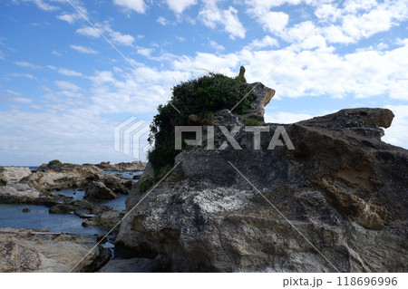 千葉県 仁右衛門島 とんび岩と海岸 千葉県 仁右衛門島 とんび岩と海岸 118696996
