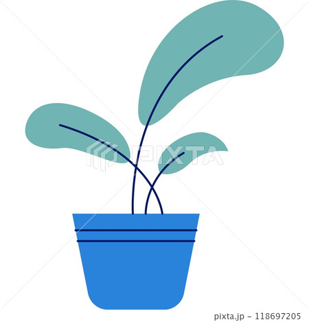 Plant vector home office flowerpot icon flat pot Plant vector home office flowerpot icon flat pot 118697205
