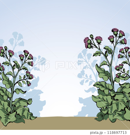Big blooming burdock. Vector drawing 118697713