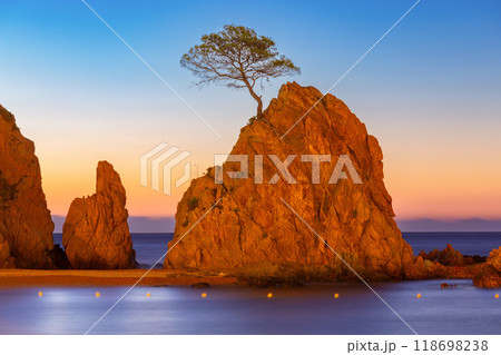 Scenic view of a cliff with a lone tree at dusk in Tossa de Mar, Catalonia, Spain 118698238