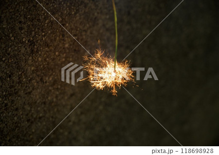 線香花火のイメージ 線香花火のイメージ 118698928