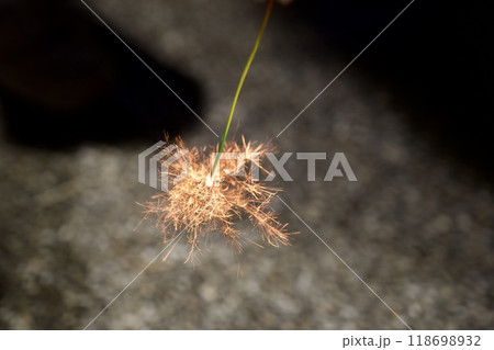 線香花火のイメージ 線香花火のイメージ 118698932