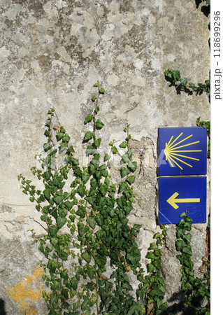 Signpost of the Saint James Way displaying the traditional yellow arrow and scallop Signpost of the Saint James Way displaying the traditional yellow arrow and scallop 118699296