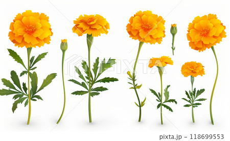 A set of orange flowers with green stems by AI generated image 118699553