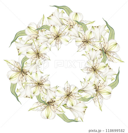Floral Wreath of White flowers. Watercolor frame of alstroemeria flowers. Composition with Lilies close-up. Floral botanical illustration for graphic design, decorate, product design and postcard Floral Wreath of White flowers. Watercolor frame of alstroemeria flowers. Composition with Lilies close-up. Floral botanical illustration for graphic design, decorate, product design and postcard 118699582