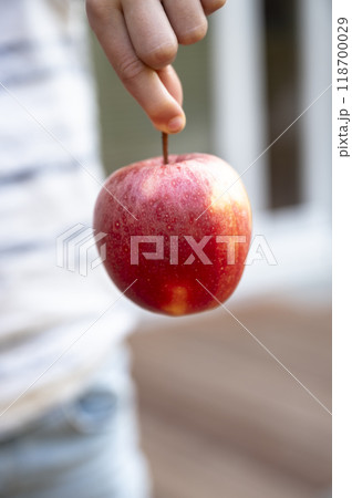 Child holding an apple by its stalk 118700029