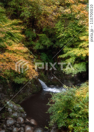 紅葉が始まった渓谷の吊り橋 紅葉が始まった渓谷の吊り橋 118700810