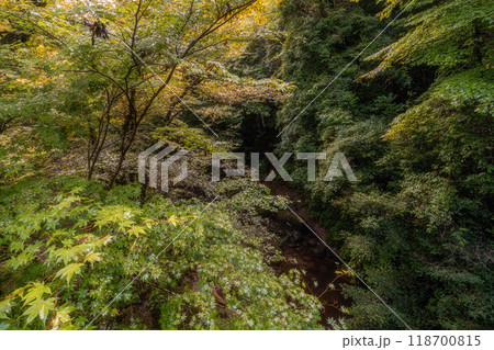 紅葉が始まった渓谷の吊り橋 118700815