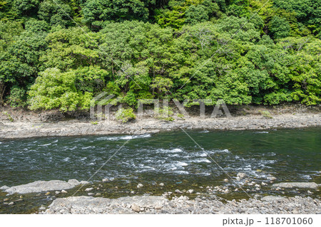 京都の清流宇治川　京都府宇治市 118701060