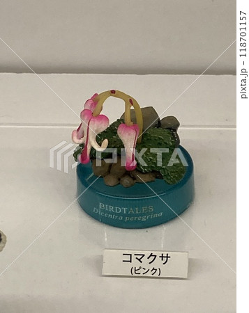海洋堂展4 海洋堂展4 118701157